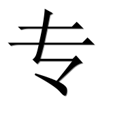 Китайский иероглиф 专