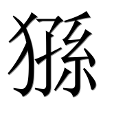 Китайский иероглиф 狲 Китайский иероглиф undefined