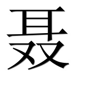 Китайский иероглиф 聂